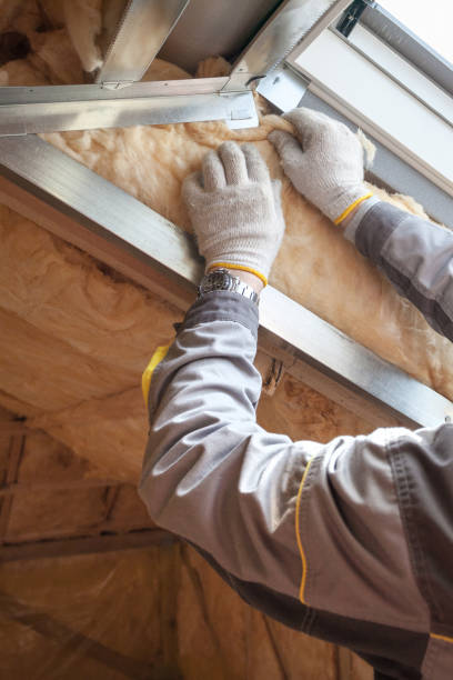 Best Insulation Installation Services in San Diego, CA